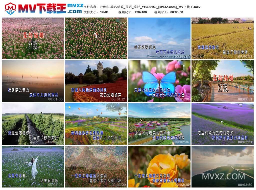 叶俊华-花岛姑娘_国语_流行_YE300150